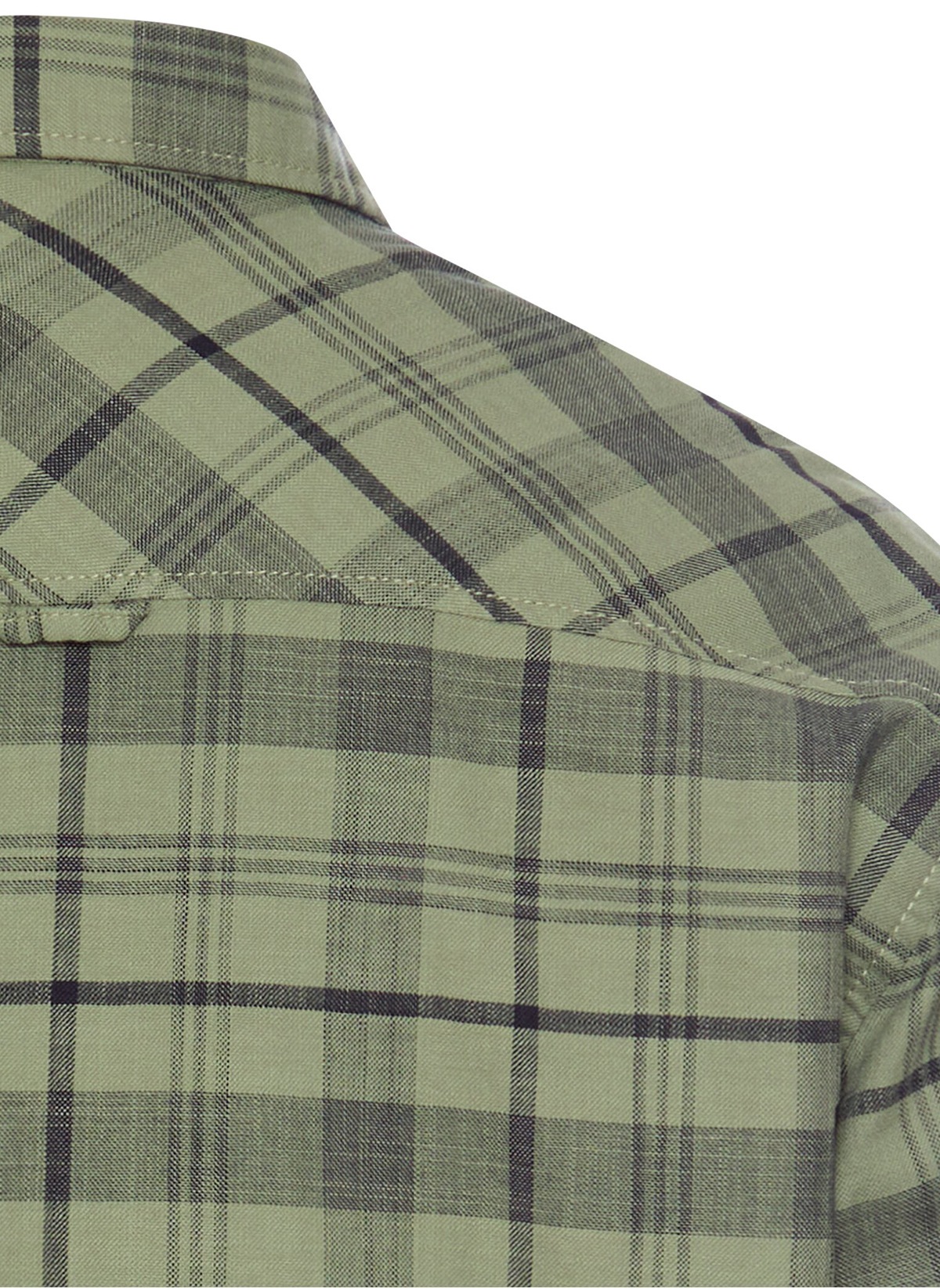 Camel Active Hemd - Regular Fit - Button Down - fein kariert - grün